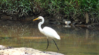 Cooper Creek Park, Columbus, GA