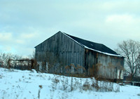 Glen Eden - Freshcorn Road