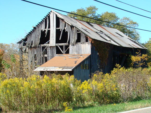 Barn on Glen Eden Road