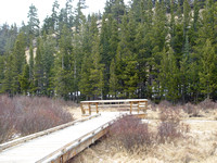 Walkway over the beaver pond
